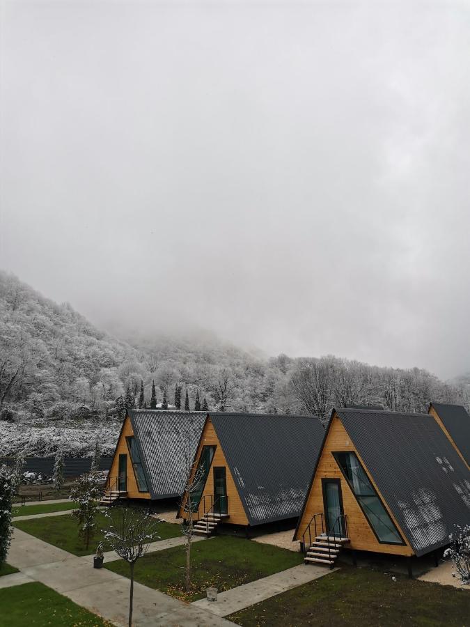 Reserve Resort Lagodekhi Buitenkant foto